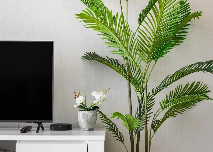 Kasino Ii Rc Q * Monte Gordo