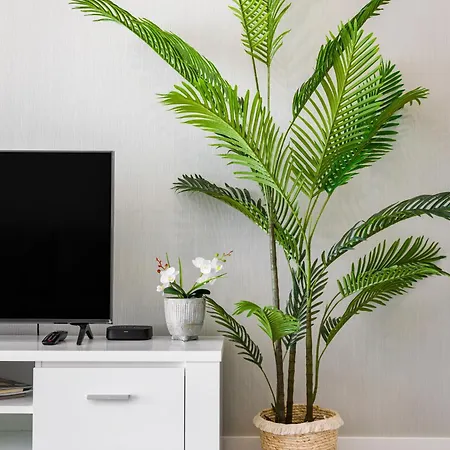 Kasino Ii Rc Q * Monte Gordo